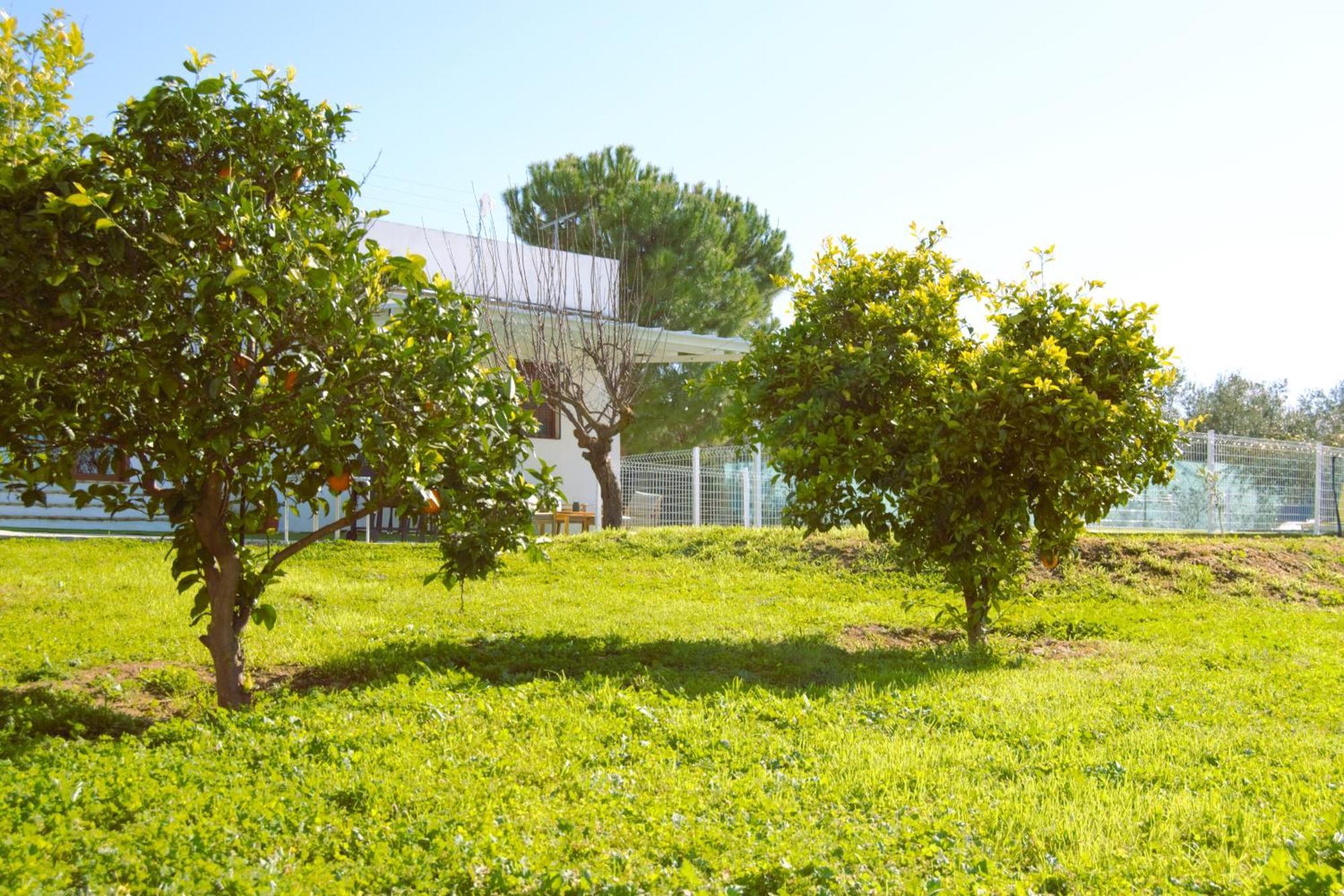 La Casa Del Carreron Villa Montilla Eksteriør billede